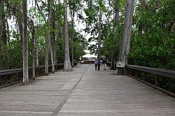 Ocala - Silver Springs State Park