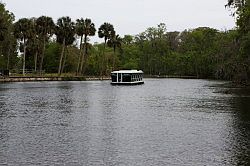 Ocala - Silver Springs State Park