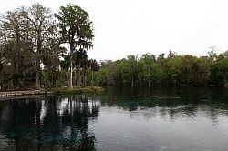 Ocala - Silver Springs State Park