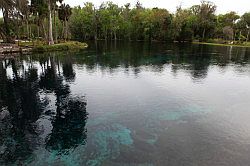 Ocala - Silver Springs State Park