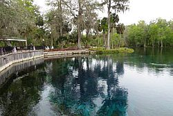 Ocala - Silver Springs State Park