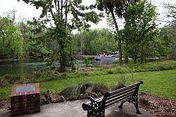 Ocala - Silver Springs State Park