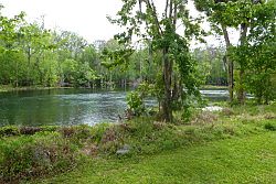 Ocala - Silver Springs State Park