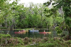 Ocala - Silver Springs State Park