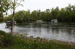 Ocala - Silver Springs State Park