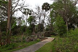 Ocala - Silver Springs State Park