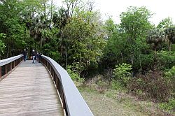 Ocala - Silver Springs State Park