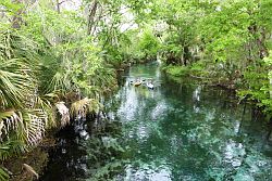 Ocala - Silver Springs State Park