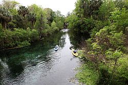 Ocala - Silver Springs State Park