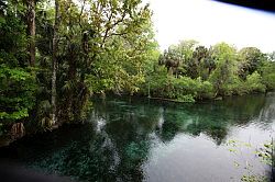 Ocala - Silver Springs State Park