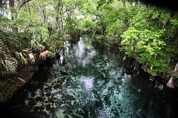 Ocala - Silver Springs State Park