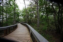 Ocala - Silver Springs State Park