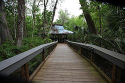 Ocala - Silver Springs State Park