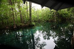 Ocala - Silver Springs State Park