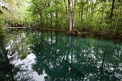 Ocala - Silver Springs State Park