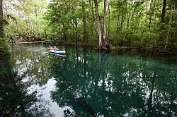 Ocala - Silver Springs State Park