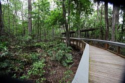 Ocala - Silver Springs State Park