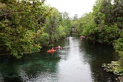 Ocala - Silver Springs State Park