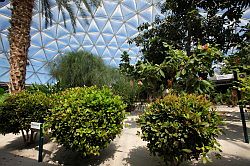 EPCOT center- The Land