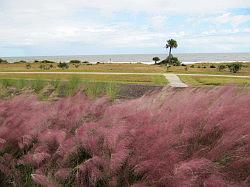 Jekyll Island