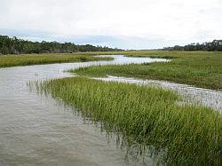 Jekyll Island