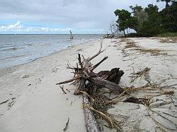 Jekyll Island