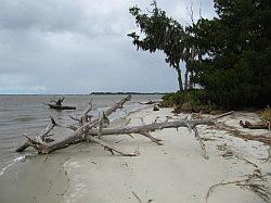 Jekyll Island