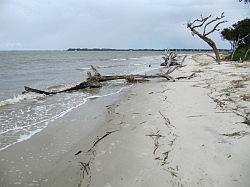 Jekyll Island