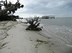 Jekyll Island