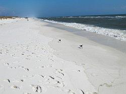 Onderweg naar Pensacola Beach