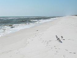 Onderweg naar Pensacola Beach