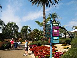 Bush Gardens Tampa