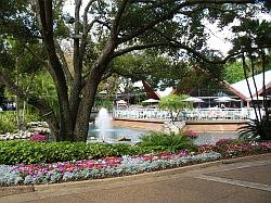 Bush Gardens Tampa