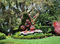 Bush Gardens Tampa