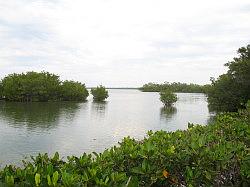 Sanibel Island