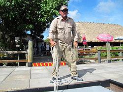 Everglades - airboat