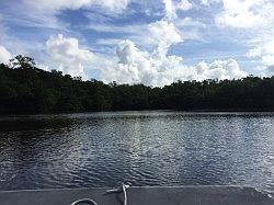 Everglades - airboat