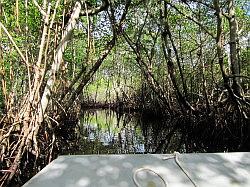 Everglades - airboat