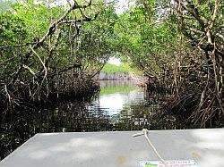 Everglades - airboat