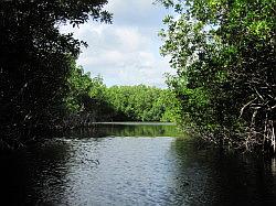 Everglades - airboat