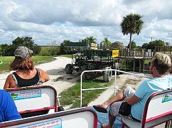 Everglades - swamp buggy