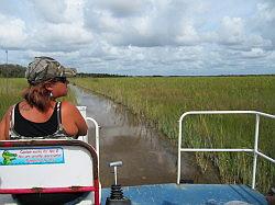 Everglades - swamp buggy