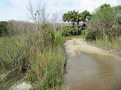 Everglades - swamp buggy