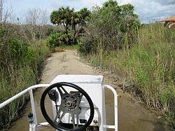 Everglades - swamp buggy