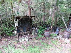 Everglades - swamp buggy