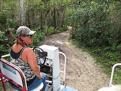 Everglades - swamp buggy