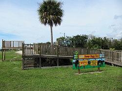 Everglades - swamp buggy