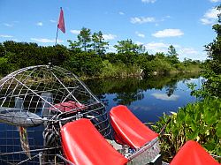 Everglades - grassland airboat tour