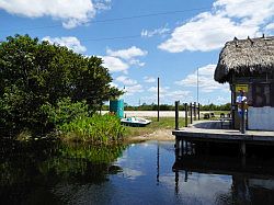 Everglades - grassland airboat tour