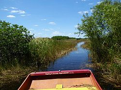 Everglades - grassland airboat tour